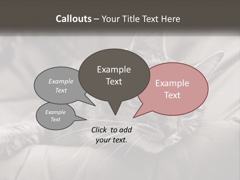 Tail Stripes White PowerPoint Template