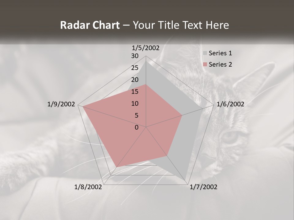 Tail Stripes White PowerPoint Template