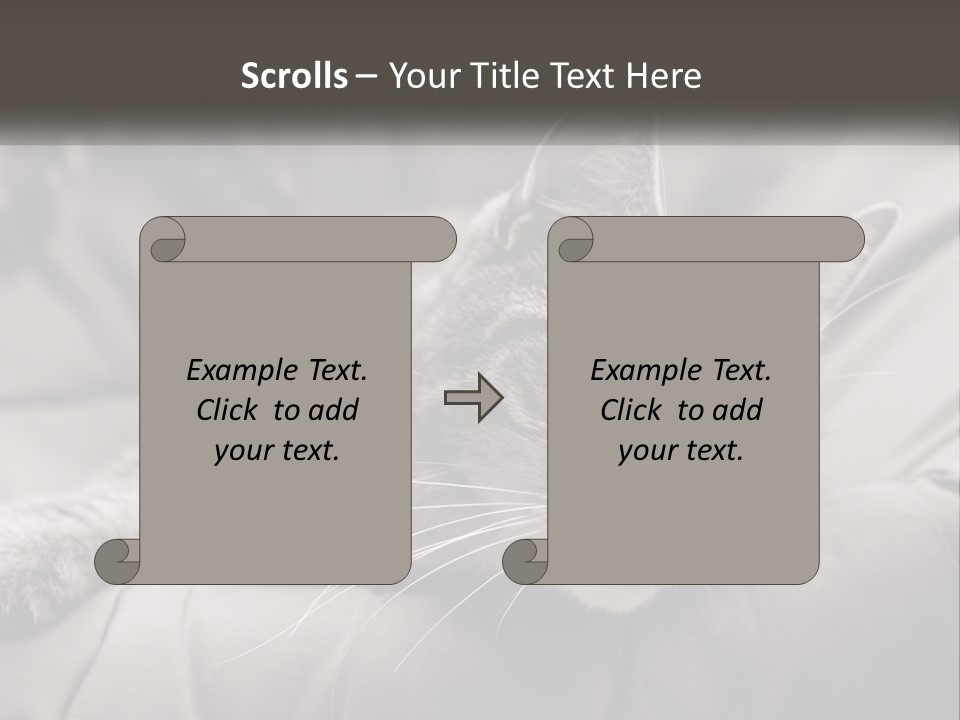 Tail Stripes White PowerPoint Template