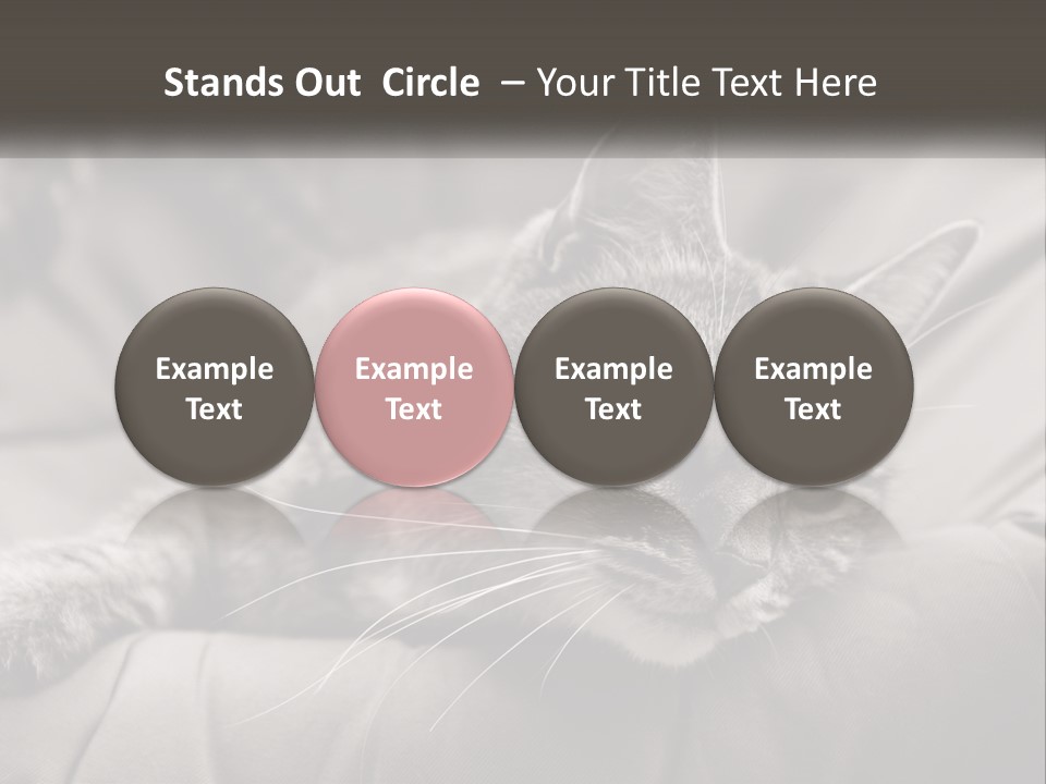 Tail Stripes White PowerPoint Template