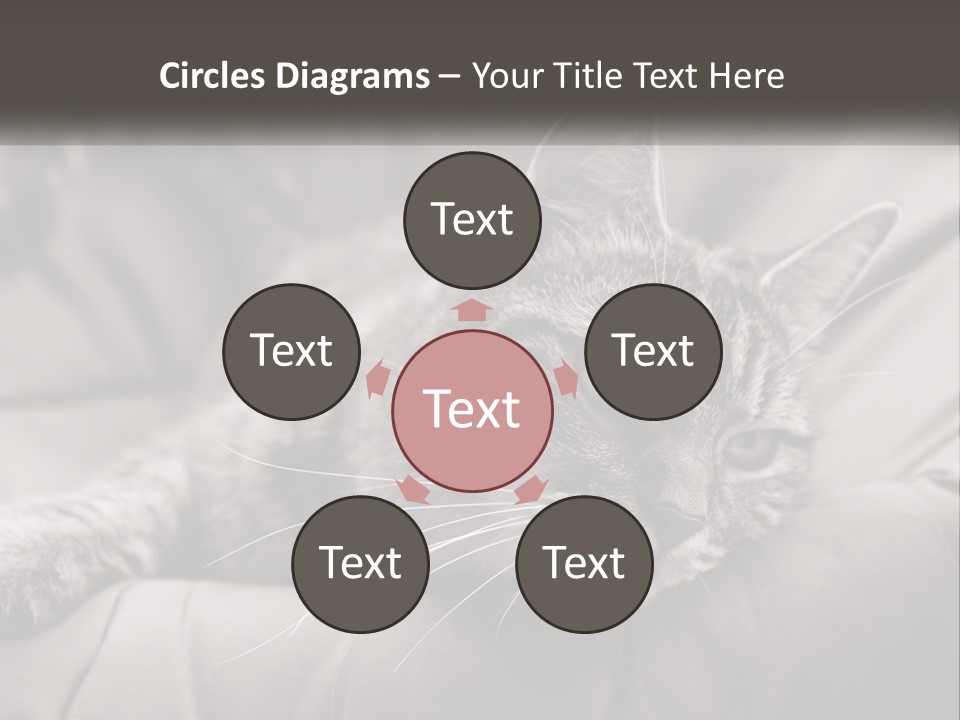 Tail Stripes White PowerPoint Template