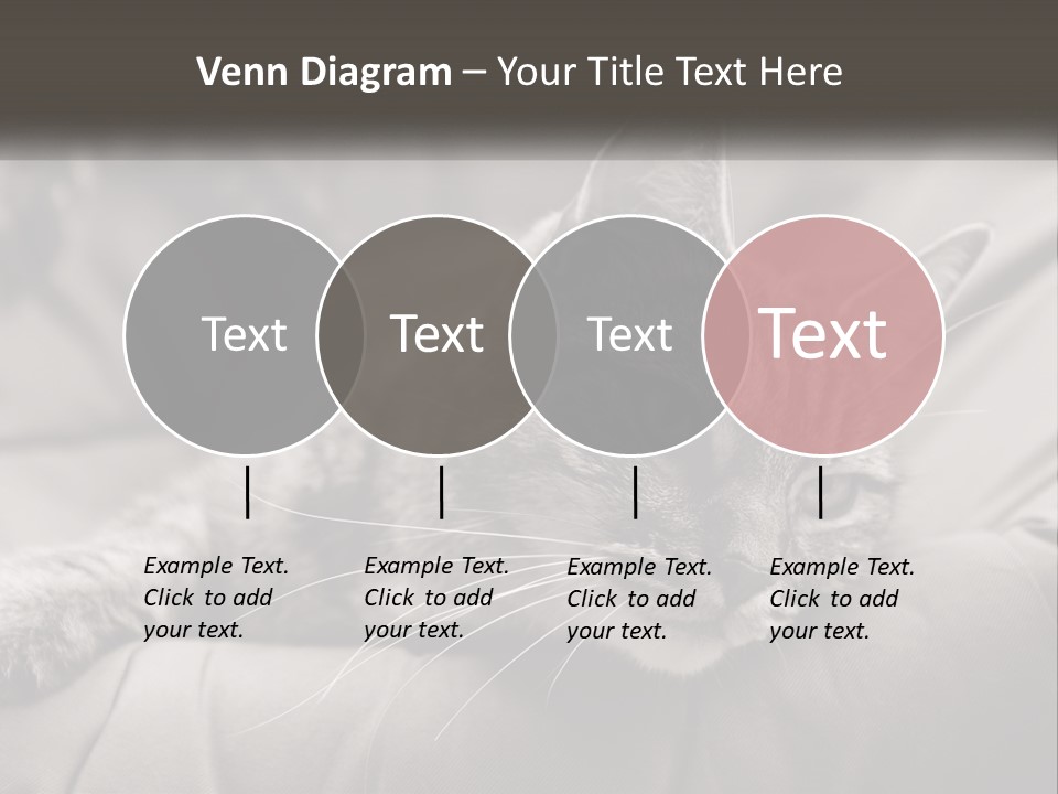 Tail Stripes White PowerPoint Template