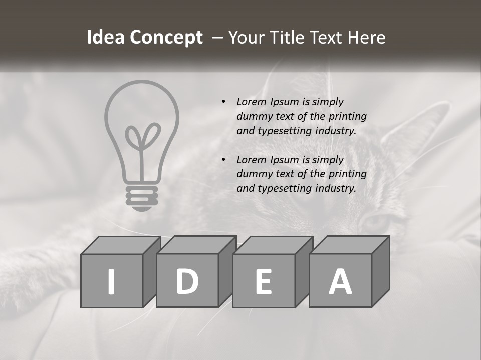 Tail Stripes White PowerPoint Template