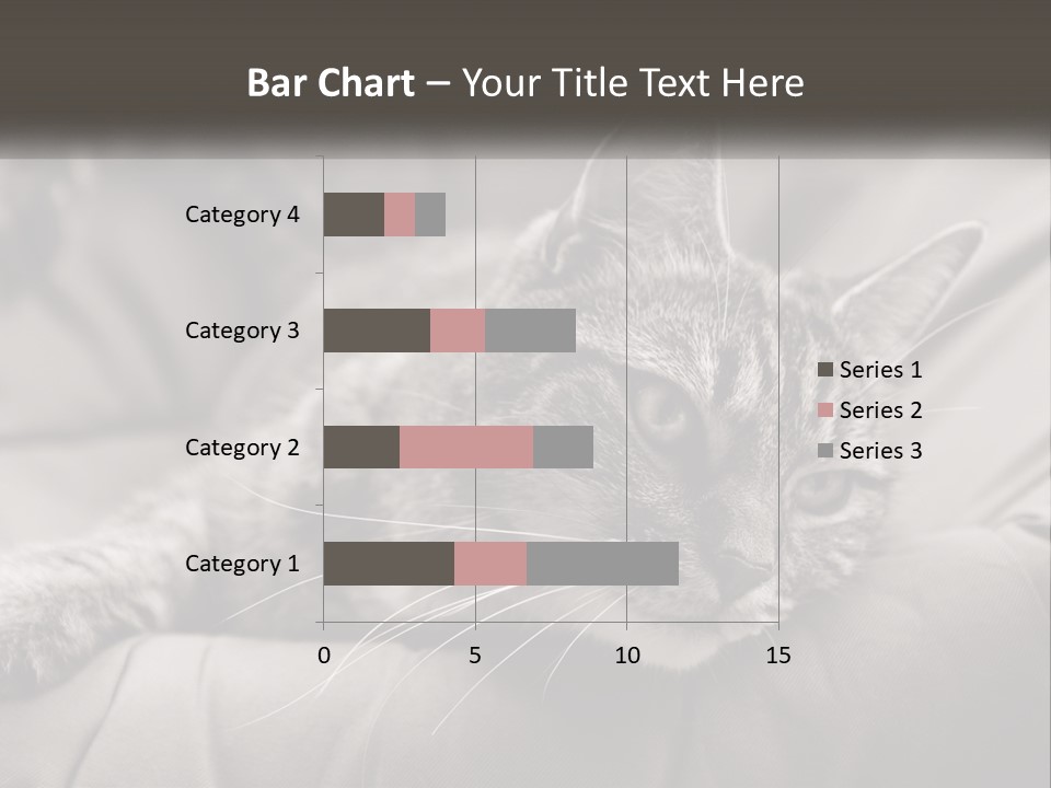 Tail Stripes White PowerPoint Template