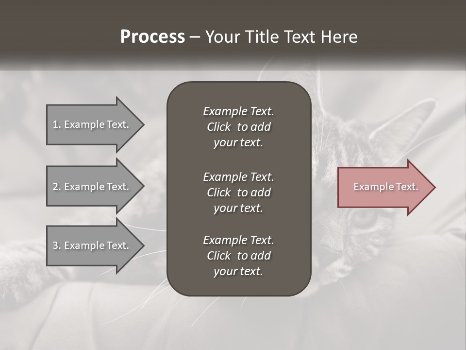 Tail Stripes White PowerPoint Template