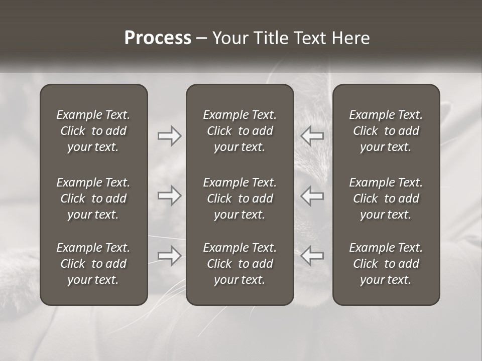 Tail Stripes White PowerPoint Template