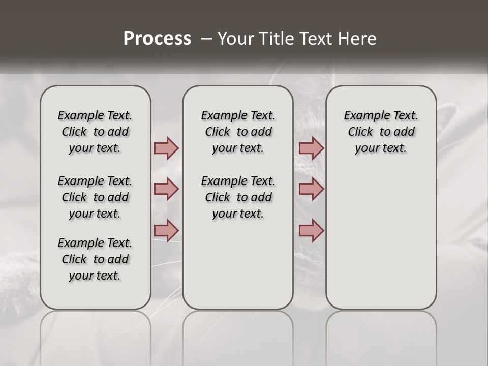 Tail Stripes White PowerPoint Template