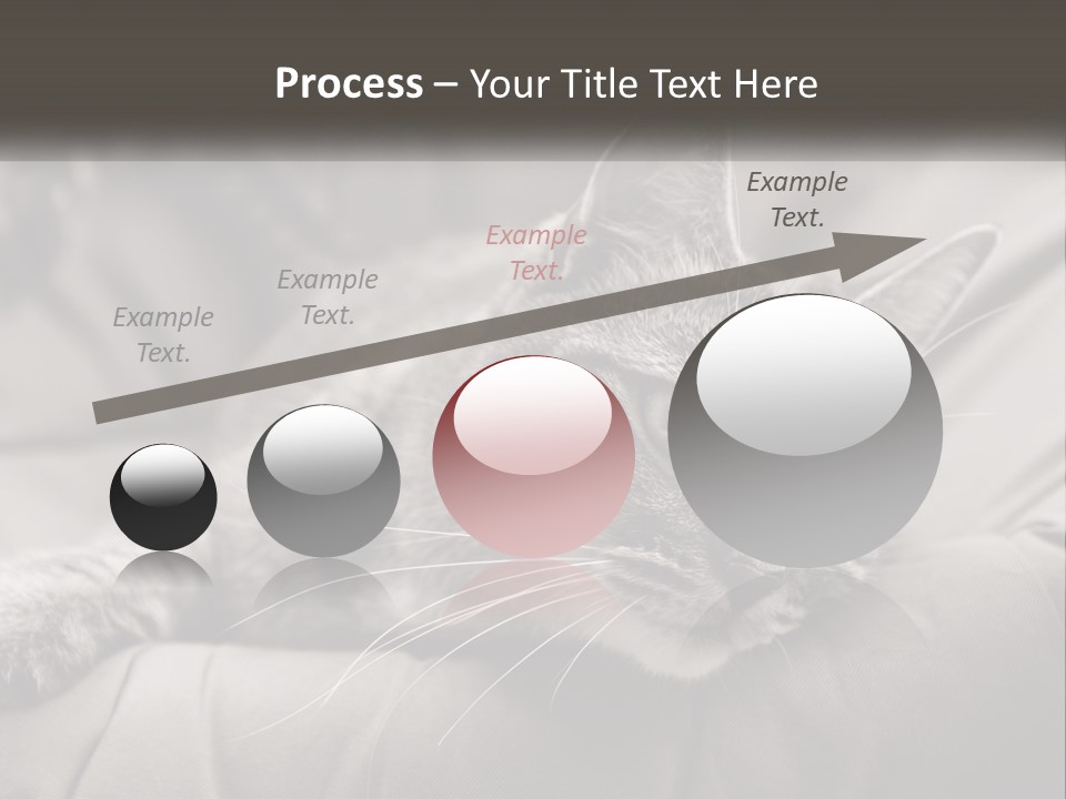 Tail Stripes White PowerPoint Template