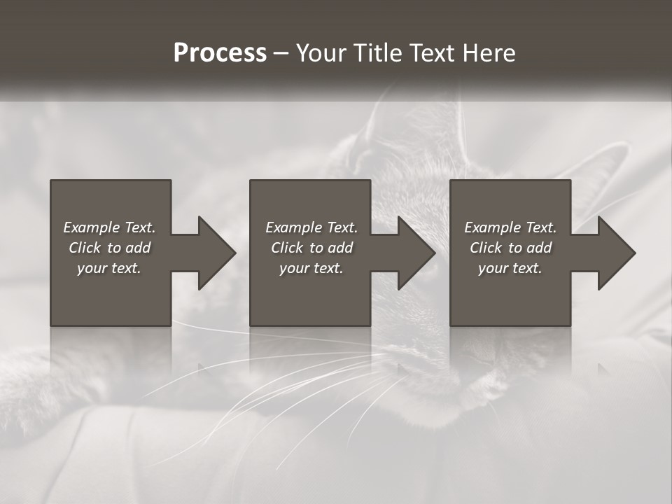 Tail Stripes White PowerPoint Template