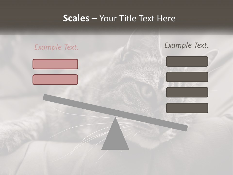 Tail Stripes White PowerPoint Template
