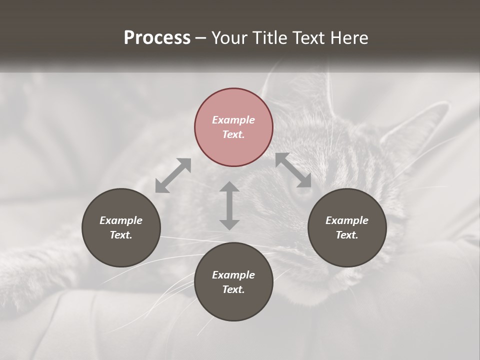 Tail Stripes White PowerPoint Template