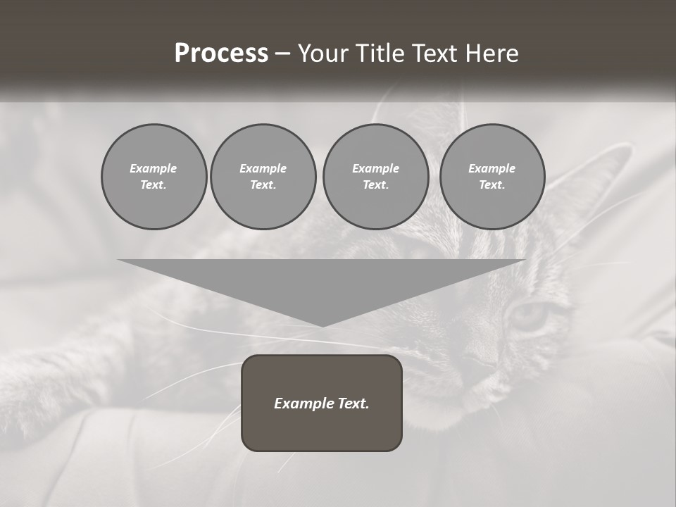 Tail Stripes White PowerPoint Template