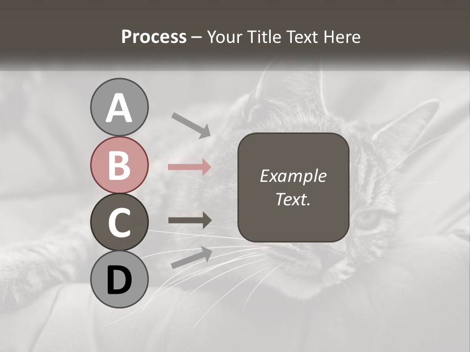 Tail Stripes White PowerPoint Template