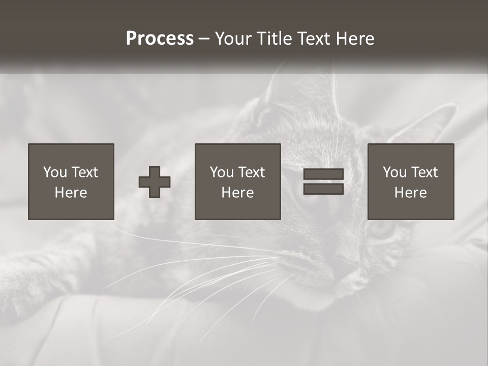 Tail Stripes White PowerPoint Template