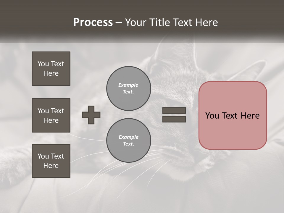 Tail Stripes White PowerPoint Template