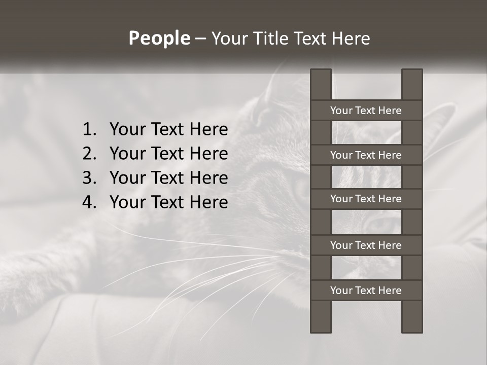 Tail Stripes White PowerPoint Template