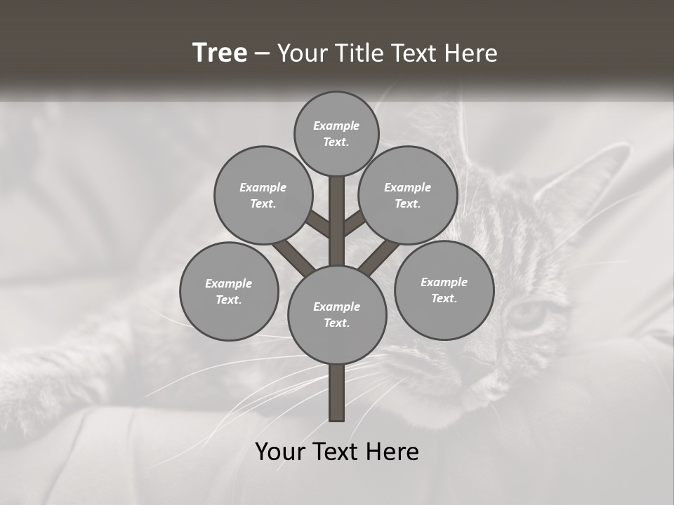 Tail Stripes White PowerPoint Template