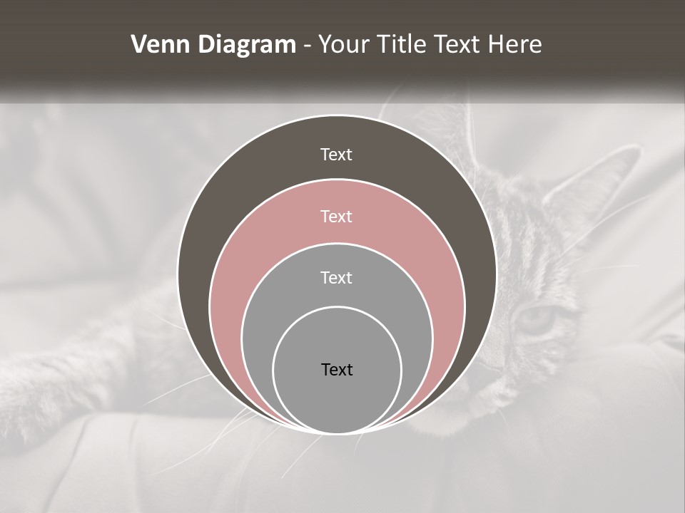 Tail Stripes White PowerPoint Template