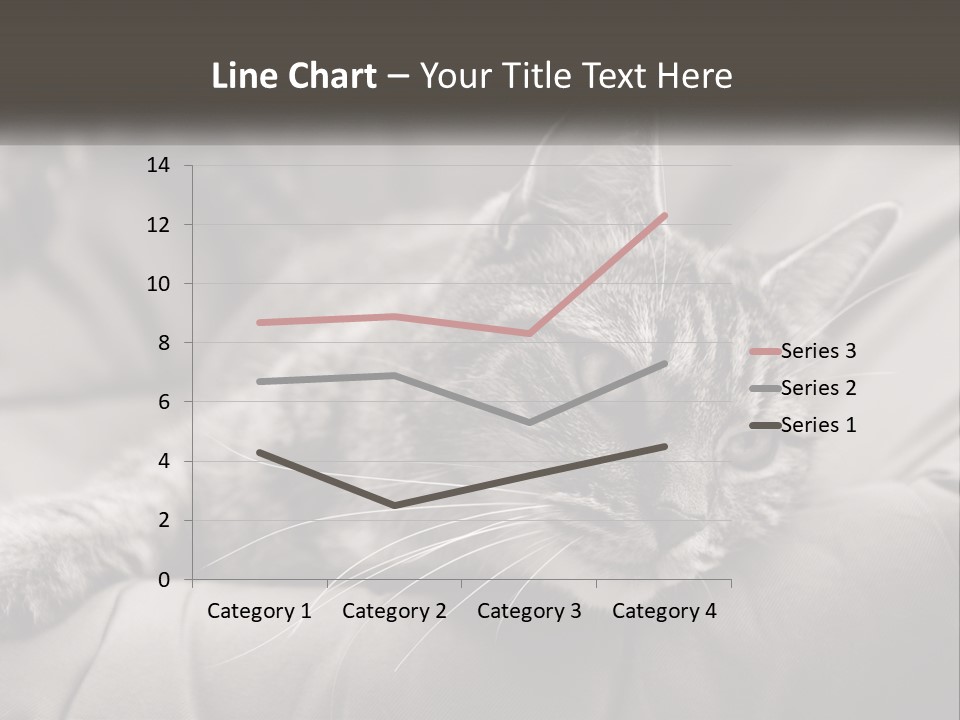 Tail Stripes White PowerPoint Template