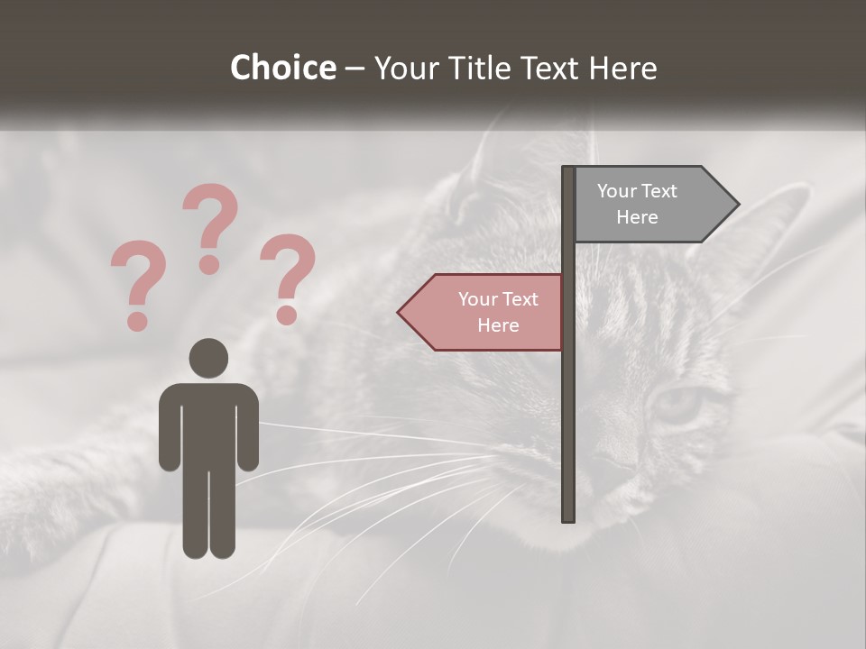 Tail Stripes White PowerPoint Template