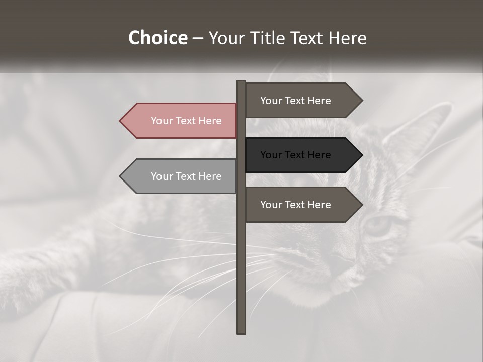 Tail Stripes White PowerPoint Template