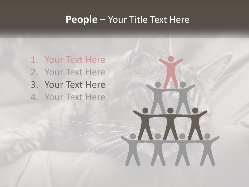 Tail Stripes White PowerPoint Template