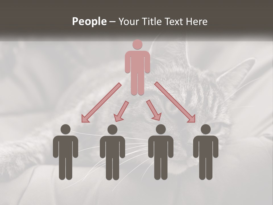 Tail Stripes White PowerPoint Template