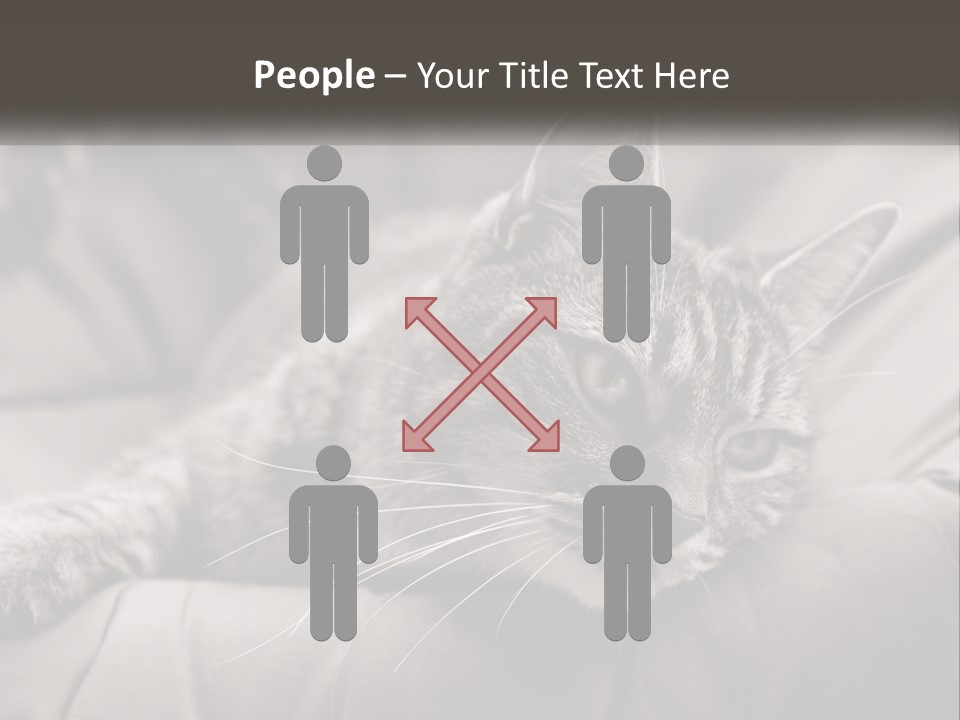 Tail Stripes White PowerPoint Template