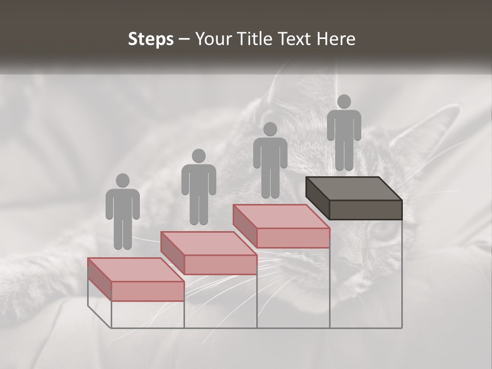 Tail Stripes White PowerPoint Template