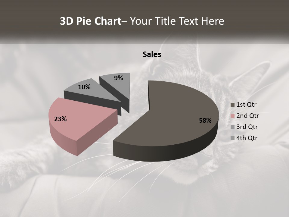 Tail Stripes White PowerPoint Template