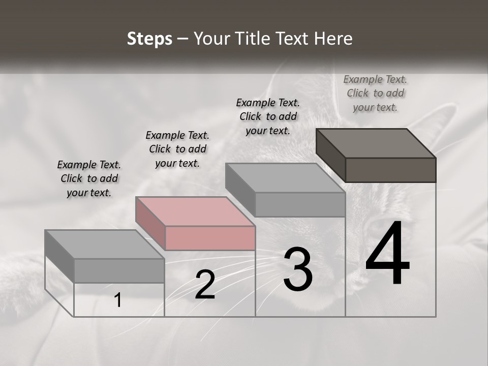 Tail Stripes White PowerPoint Template