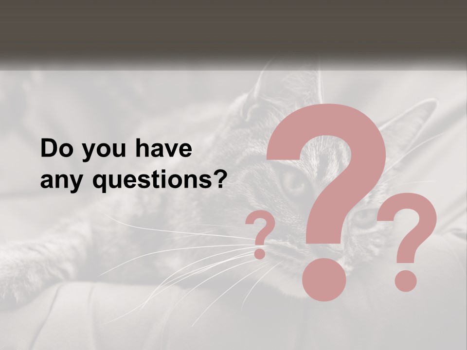 Tail Stripes White PowerPoint Template