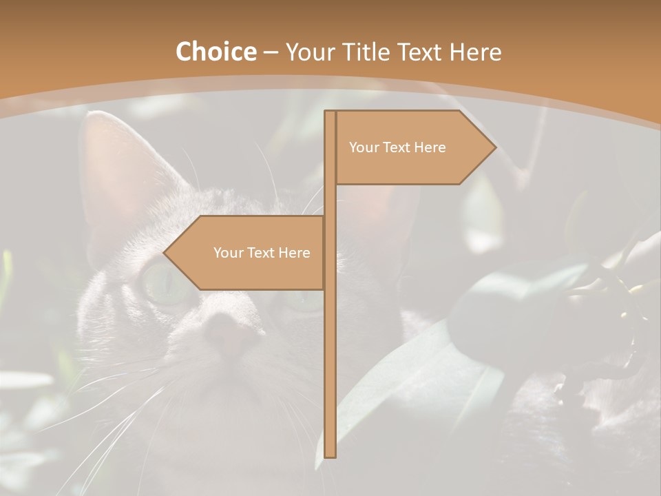 Green Creature Hair PowerPoint Template