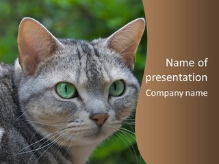 Ears Eyes Nature PowerPoint Template