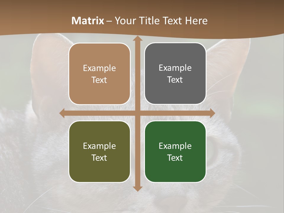 Ears Eyes Nature PowerPoint Template