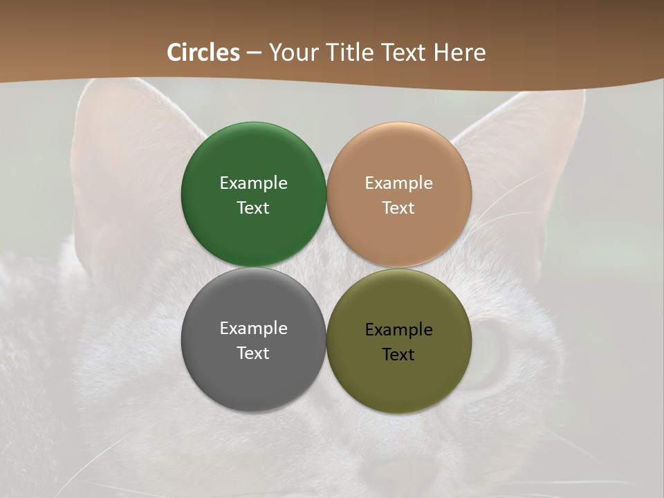 Ears Eyes Nature PowerPoint Template