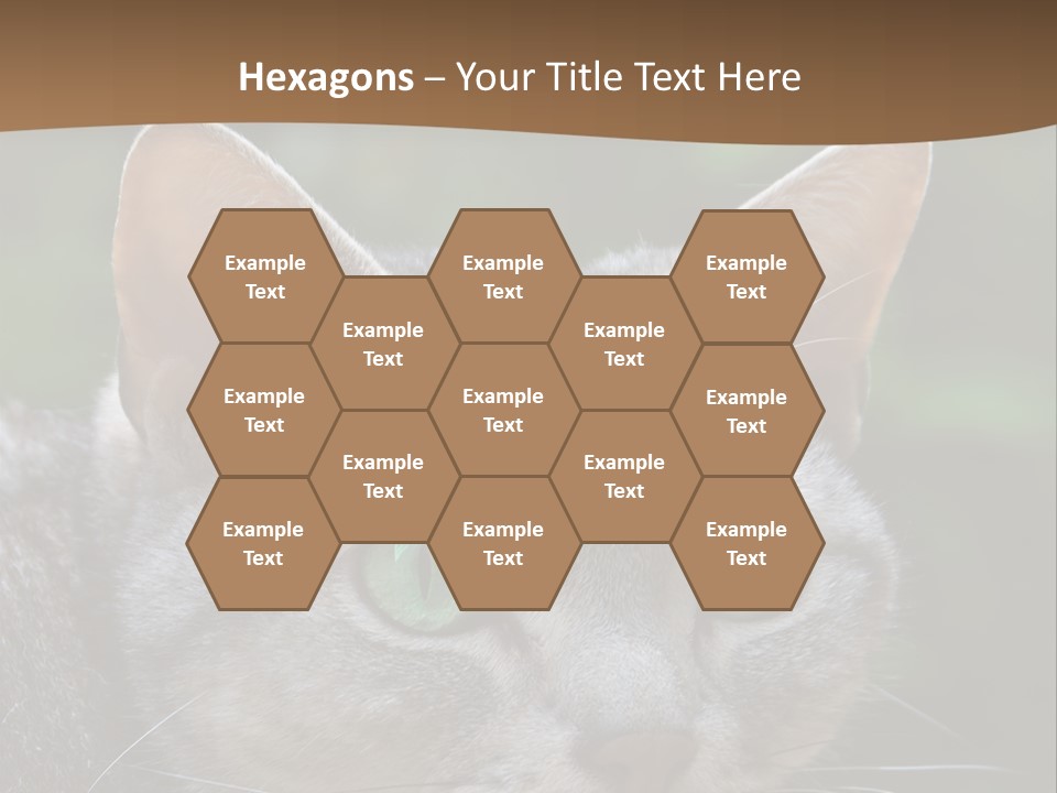 Ears Eyes Nature PowerPoint Template