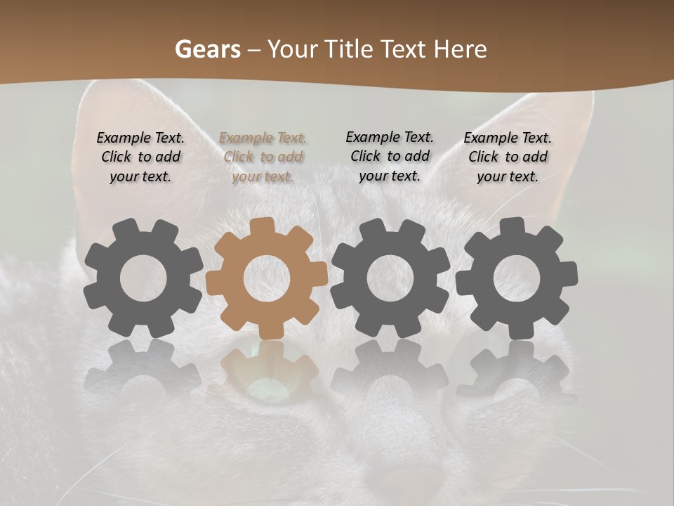 Ears Eyes Nature PowerPoint Template