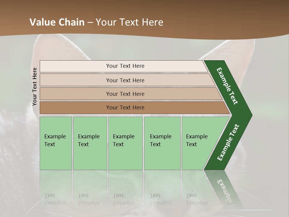 Ears Eyes Nature PowerPoint Template