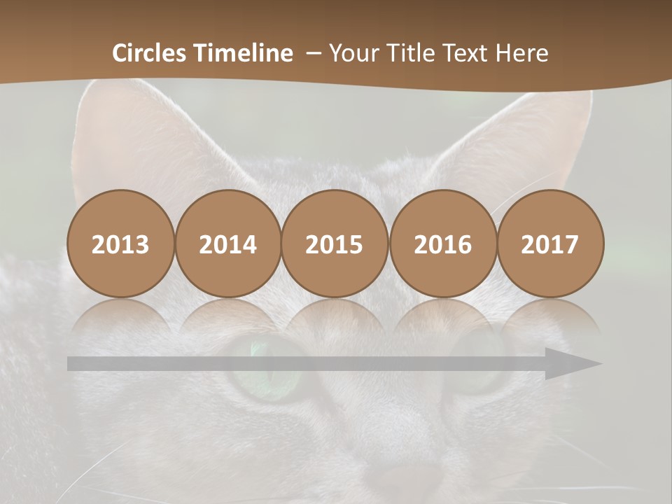 Ears Eyes Nature PowerPoint Template
