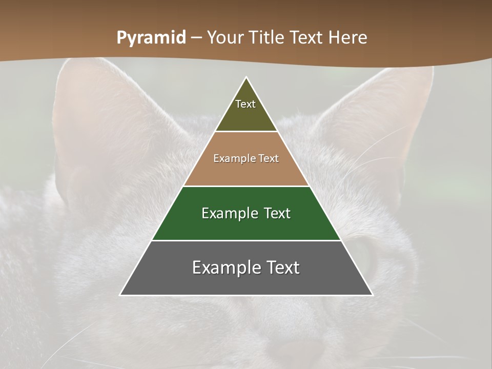 Ears Eyes Nature PowerPoint Template