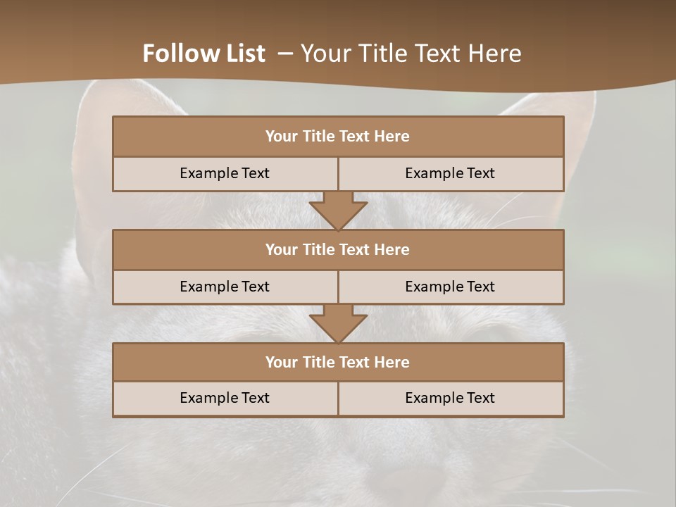 Ears Eyes Nature PowerPoint Template