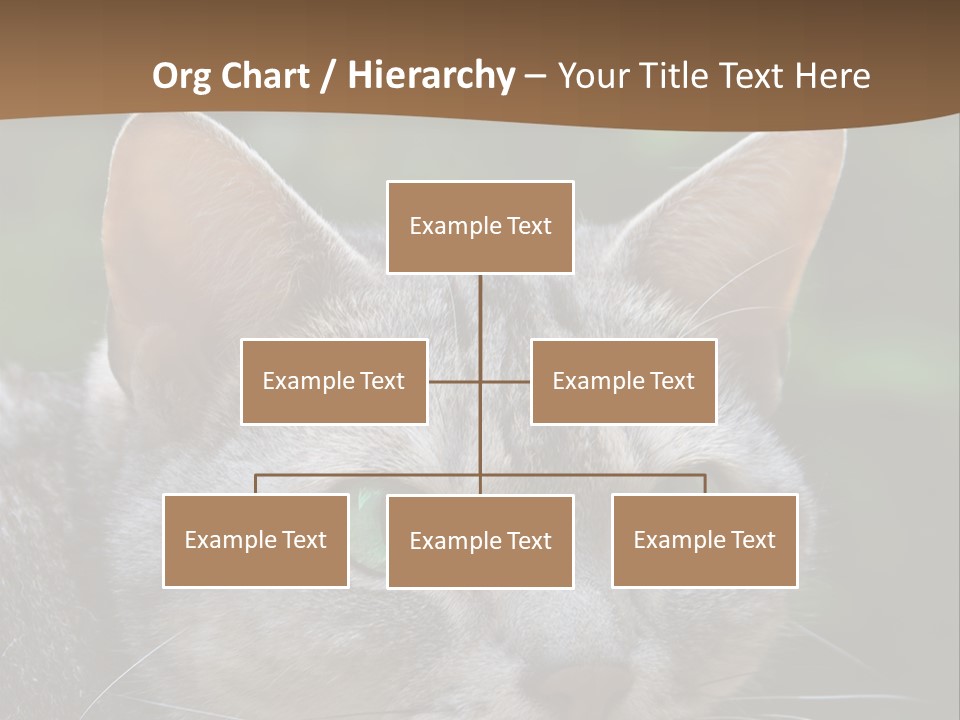 Ears Eyes Nature PowerPoint Template