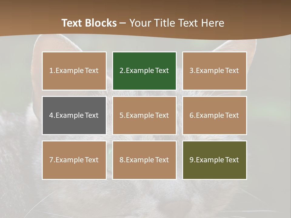 Ears Eyes Nature PowerPoint Template