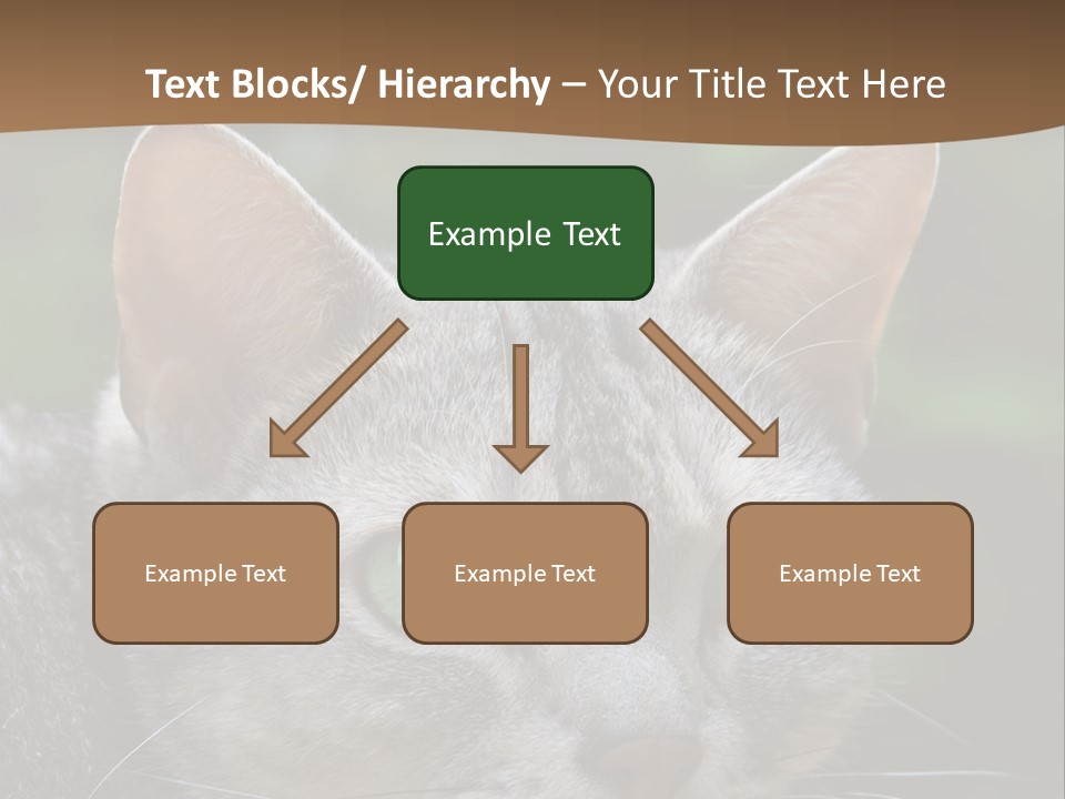 Ears Eyes Nature PowerPoint Template