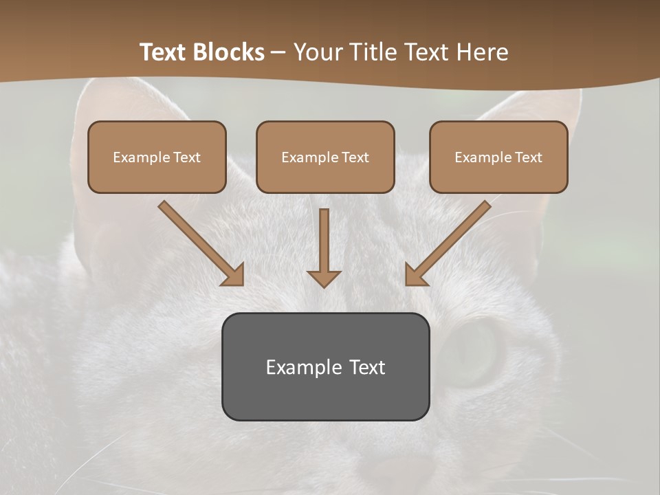 Ears Eyes Nature PowerPoint Template