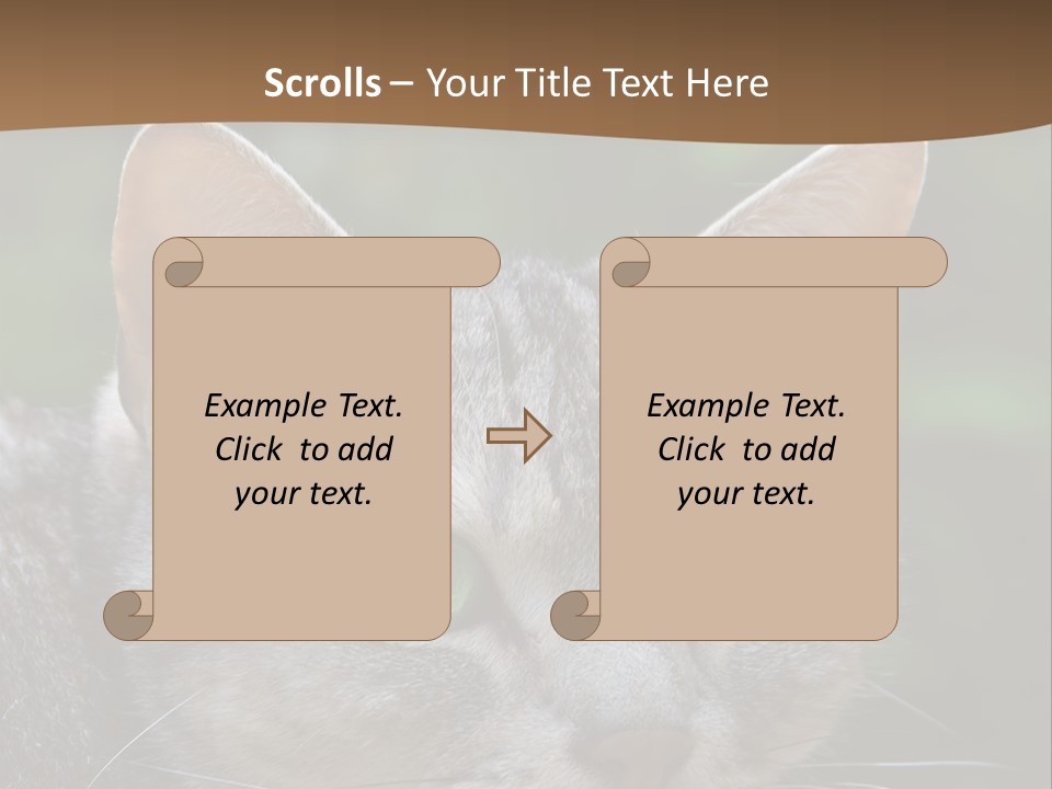 Ears Eyes Nature PowerPoint Template