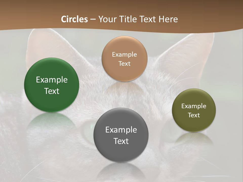 Ears Eyes Nature PowerPoint Template