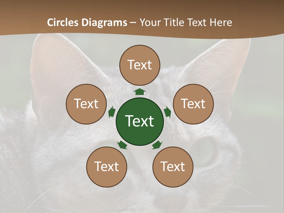 Ears Eyes Nature PowerPoint Template