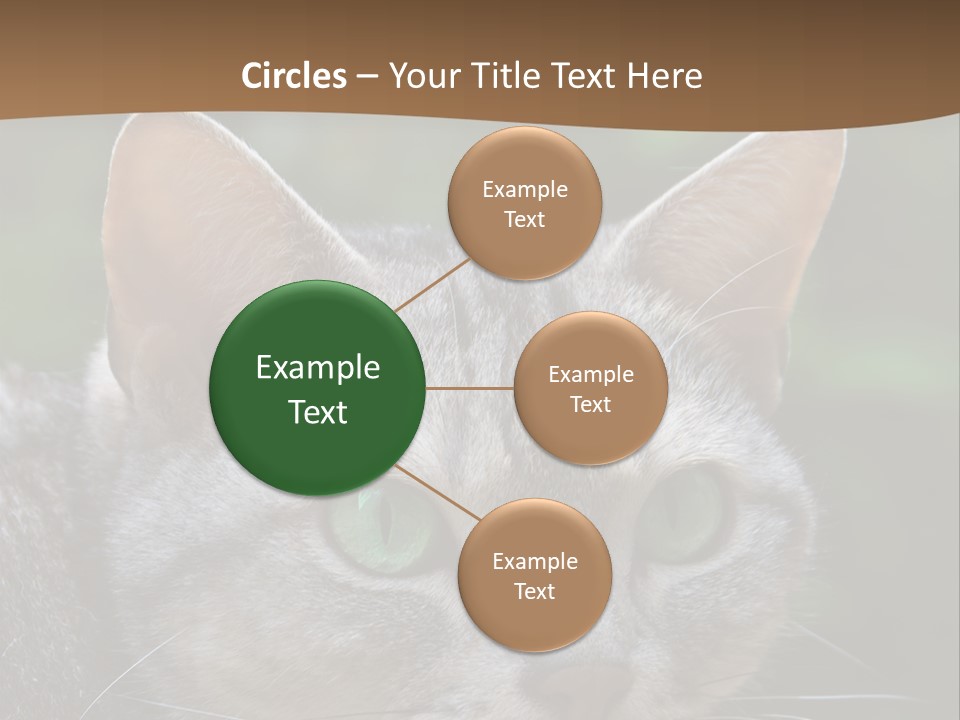 Ears Eyes Nature PowerPoint Template